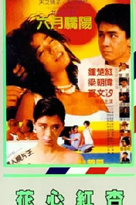 手机看片视频